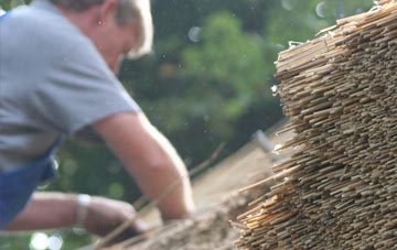 professional Buchanty thatchers